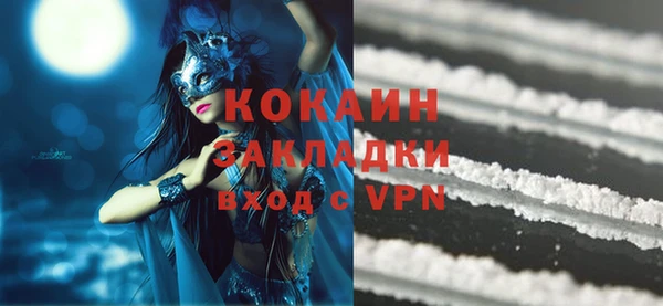 шишки Козловка