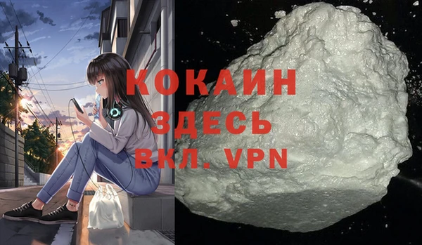 шишки Козловка