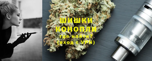 шишки Козловка