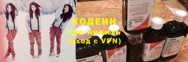 шишки Козловка